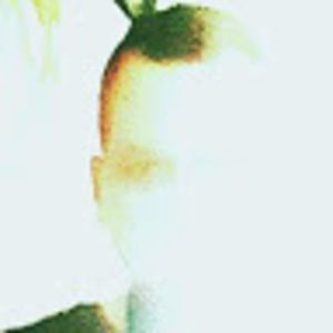 Meet your Posher, Mac